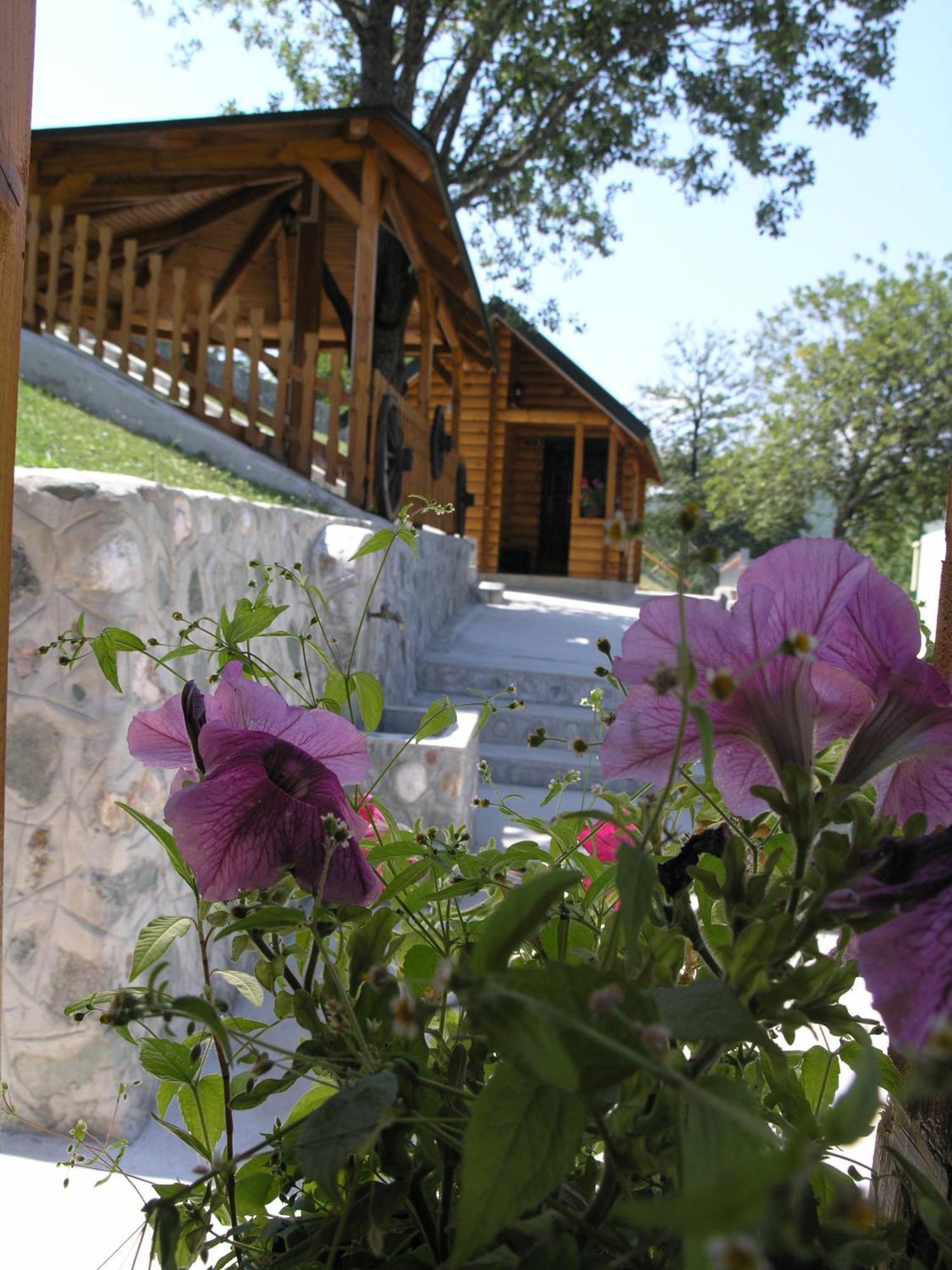 Motel Krstac Mojkovac Habitación foto