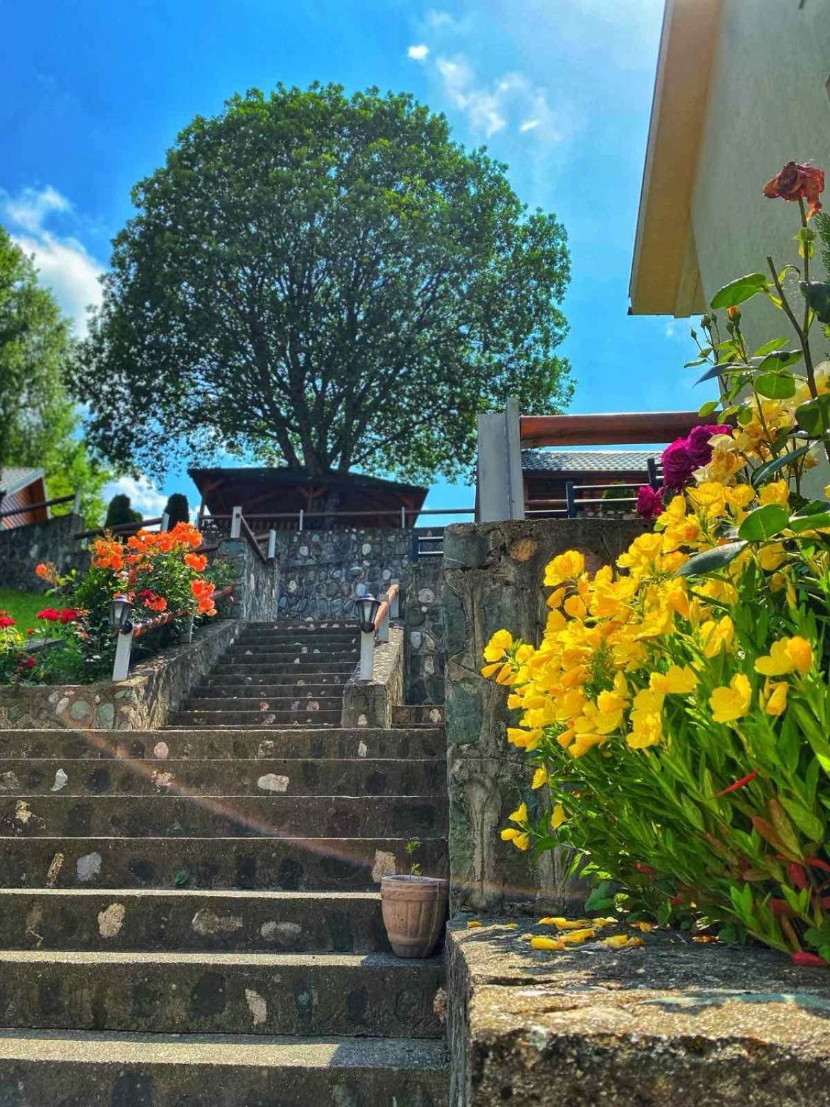 Motel Krstac Mojkovac Exterior foto